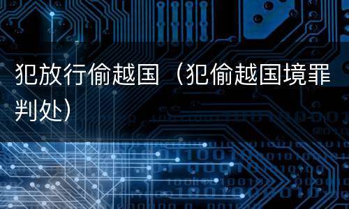 犯放行偷越国（犯偷越国境罪判处）