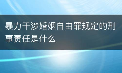 暴力干涉婚姻自由罪规定的刑事责任是什么
