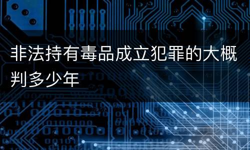 非法持有毒品成立犯罪的大概判多少年