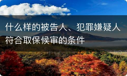 什么样的被告人、犯罪嫌疑人符合取保候审的条件