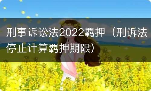刑事诉讼法2022羁押（刑诉法停止计算羁押期限）