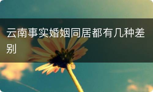 云南事实婚姻同居都有几种差别