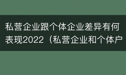 私营企业跟个体企业差异有何表现2022（私营企业和个体户一样吗）