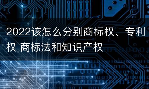 2022该怎么分别商标权、专利权 商标法和知识产权
