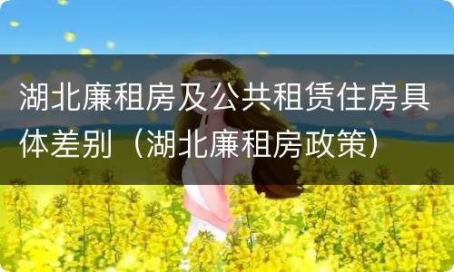 湖北廉租房及公共租赁住房具体差别（湖北廉租房政策）