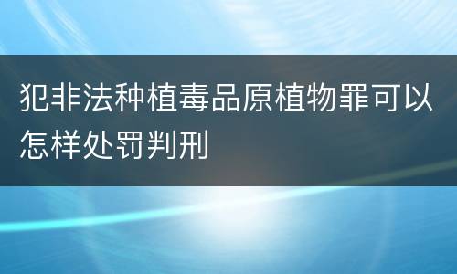 犯非法种植毒品原植物罪可以怎样处罚判刑