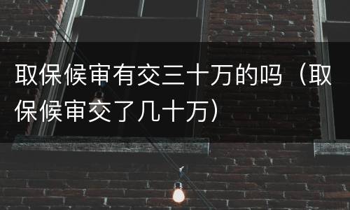 取保候审有交三十万的吗（取保候审交了几十万）