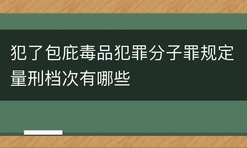 犯了包庇毒品犯罪分子罪规定量刑档次有哪些