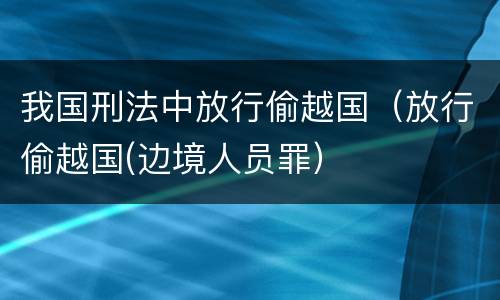 我国刑法中放行偷越国（放行偷越国(边境人员罪）