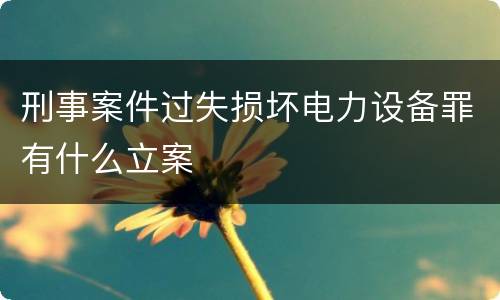 刑事案件过失损坏电力设备罪有什么立案