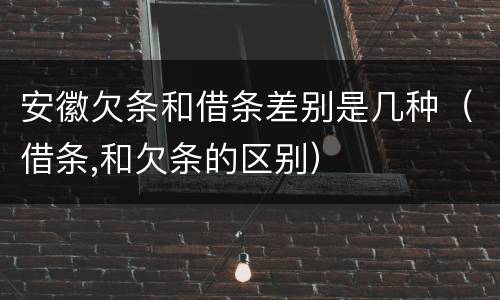 安徽欠条和借条差别是几种（借条,和欠条的区别）