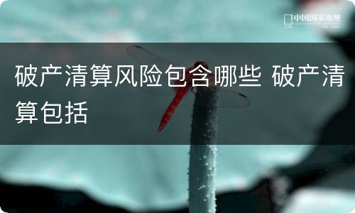 破产清算风险包含哪些 破产清算包括