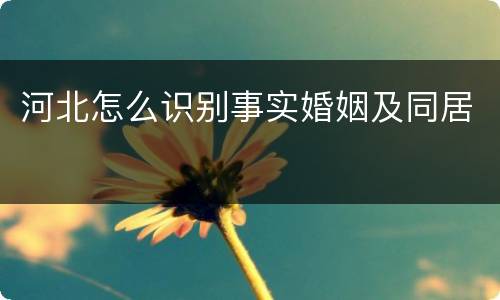 河北怎么识别事实婚姻及同居