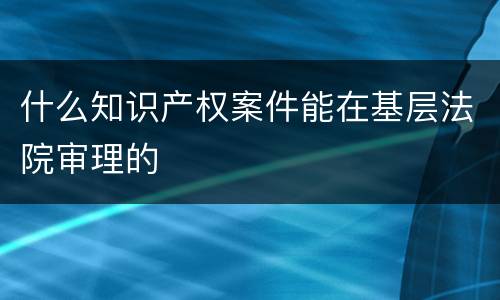 什么知识产权案件能在基层法院审理的