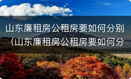 山东廉租房公租房要如何分别（山东廉租房公租房要如何分别申请的）