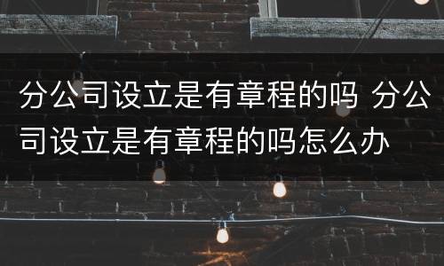分公司设立是有章程的吗 分公司设立是有章程的吗怎么办