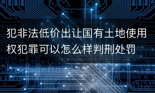犯非法低价出让国有土地使用权犯罪可以怎么样判刑处罚