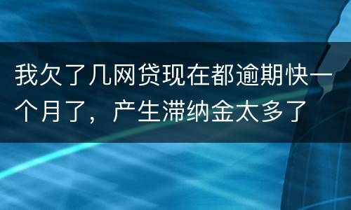 我欠了几网贷现在都逾期快一个月了,产生滞纳金太多了