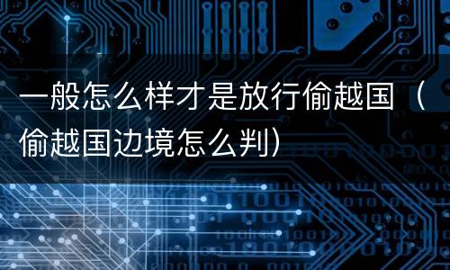 一般怎么样才是放行偷越国（偷越国边境怎么判）