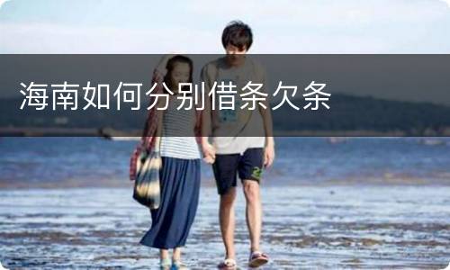 海南如何分别借条欠条