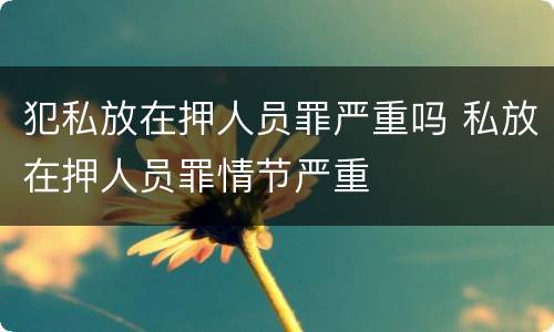 犯私放在押人员罪严重吗 私放在押人员罪情节严重