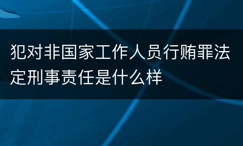 犯对非国家工作人员行贿罪法定刑事责任是什么样