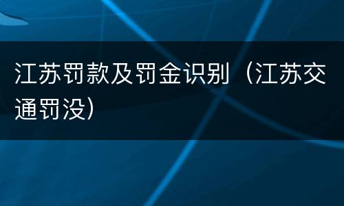 江苏罚款及罚金识别（江苏交通罚没）