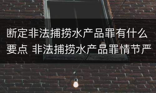 断定非法捕捞水产品罪有什么要点 非法捕捞水产品罪情节严重的认定