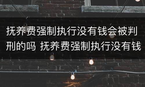 抚养费强制执行没有钱会被判刑的吗 抚养费强制执行没有钱会被判刑的吗知乎