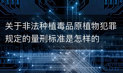 关于非法种植毒品原植物犯罪规定的量刑标准是怎样的