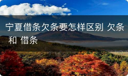 宁夏借条欠条要怎样区别 欠条 和 借条