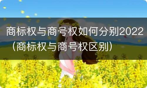 商标权与商号权如何分别2022（商标权与商号权区别）