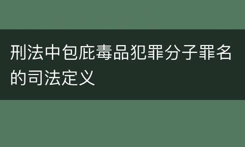刑法中包庇毒品犯罪分子罪名的司法定义