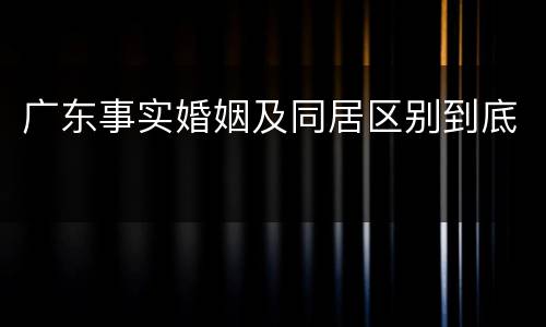 广东事实婚姻及同居区别到底