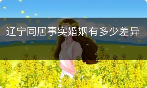 辽宁同居事实婚姻有多少差异