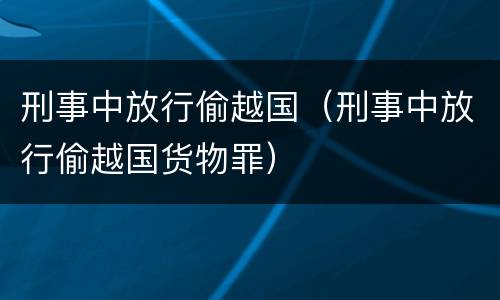 刑事中放行偷越国（刑事中放行偷越国货物罪）