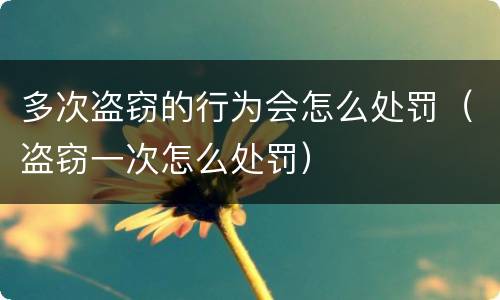多次盗窃的行为会怎么处罚（盗窃一次怎么处罚）