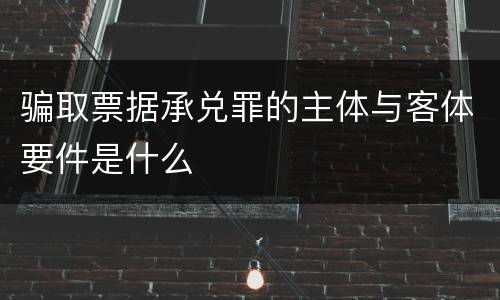 骗取票据承兑罪的主体与客体要件是什么
