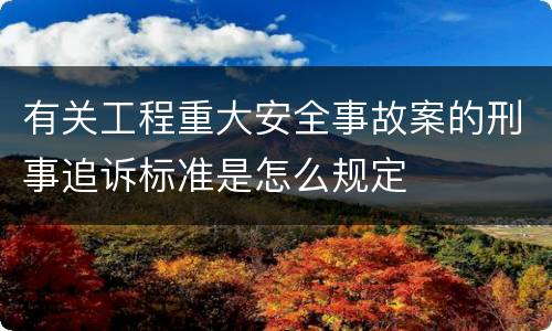 有关工程重大安全事故案的刑事追诉标准是怎么规定