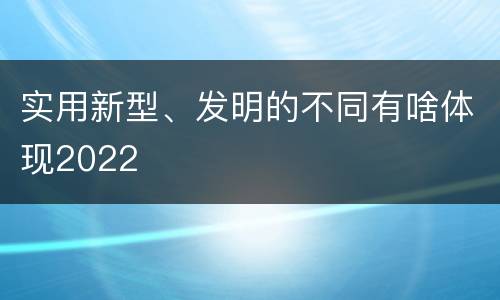 实用新型、发明的不同有啥体现2022
