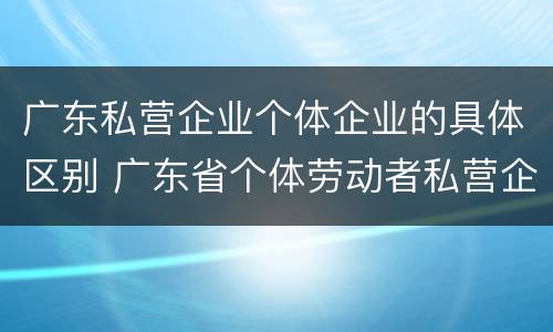 广东私营企业个体企业的具体区别 广东省个体劳动者私营企业协会