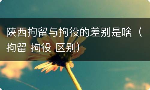 陕西拘留与拘役的差别是啥（拘留 拘役 区别）