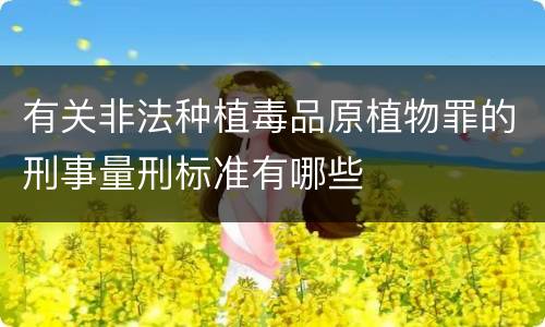有关非法种植毒品原植物罪的刑事量刑标准有哪些