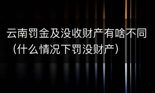 云南罚金及没收财产有啥不同（什么情况下罚没财产）