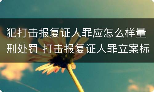 犯打击报复证人罪应怎么样量刑处罚 打击报复证人罪立案标准