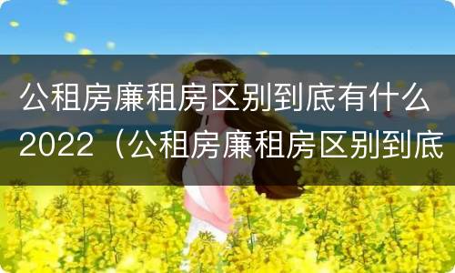 公租房廉租房区别到底有什么2022（公租房廉租房区别到底有什么2022年的）