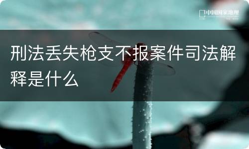 刑法丢失枪支不报案件司法解释是什么