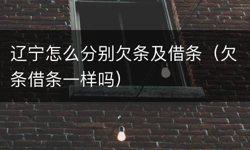 辽宁怎么分别欠条及借条（欠条借条一样吗）
