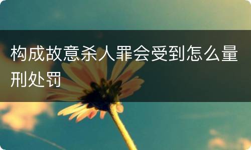 构成故意杀人罪会受到怎么量刑处罚