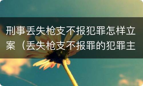 刑事丢失枪支不报犯罪怎样立案（丢失枪支不报罪的犯罪主体）